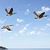 Migrating to the Cloud: Is It as Intimidating as It Appears?